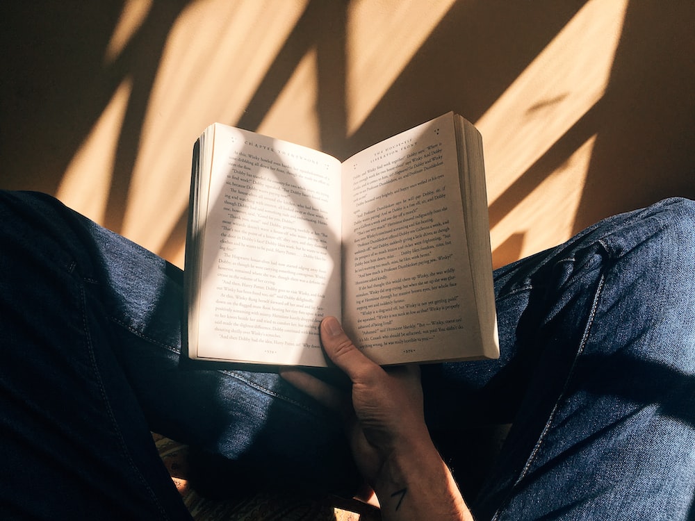 aerial shot of lap where a book is opened